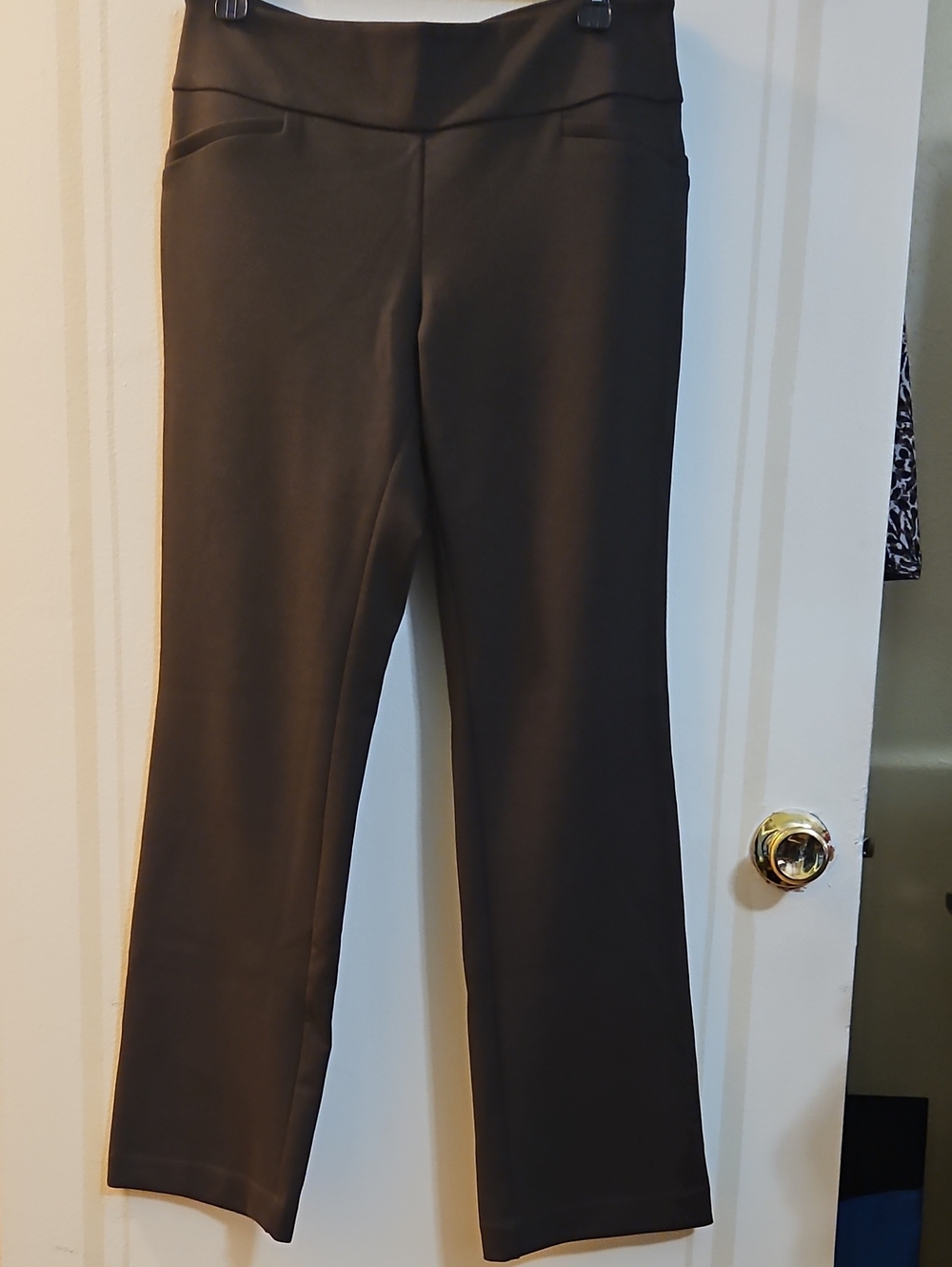 Brown 7th Avenue New York & Company Women's Petit Pull-On Pants